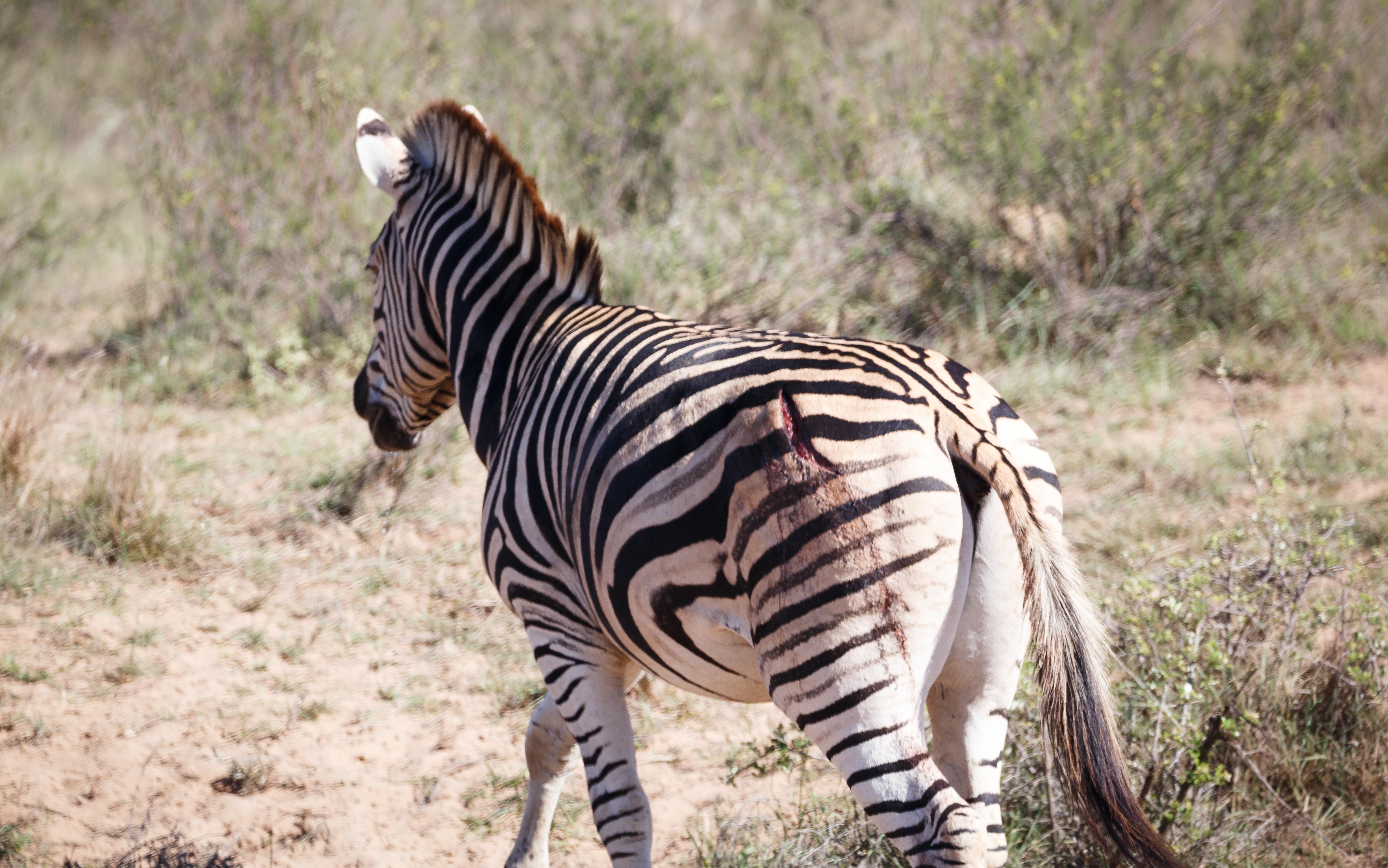 Bukela Game Lodge - アマカーラ・ゲーム・リザーブ エクステリア 写真