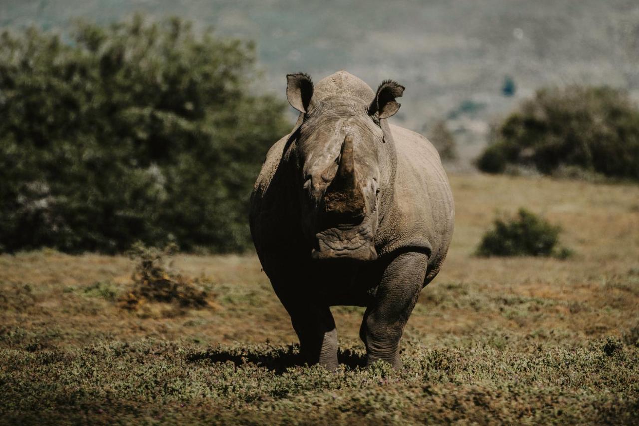 Bukela Game Lodge - アマカーラ・ゲーム・リザーブ エクステリア 写真