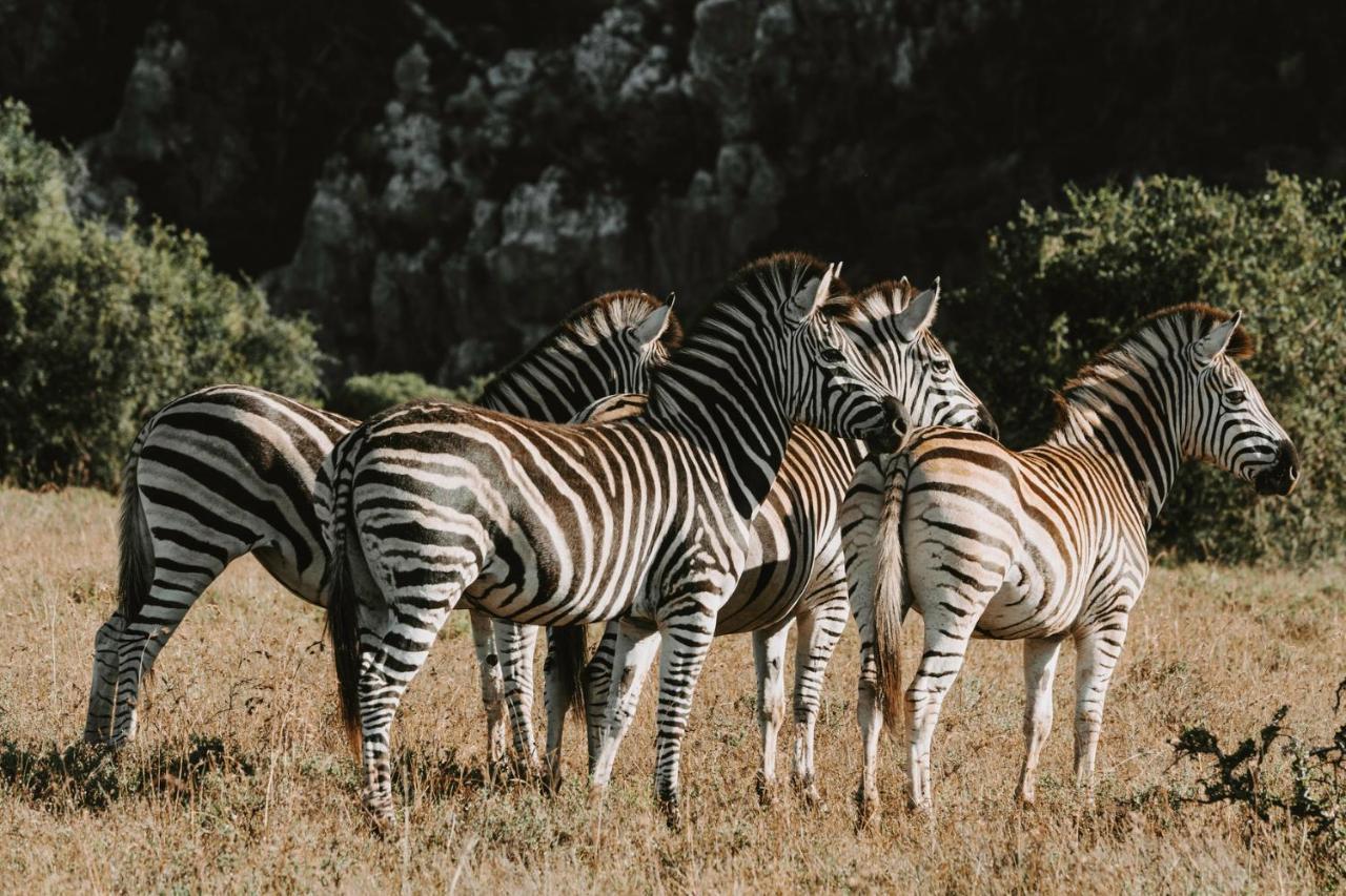 Bukela Game Lodge - アマカーラ・ゲーム・リザーブ エクステリア 写真