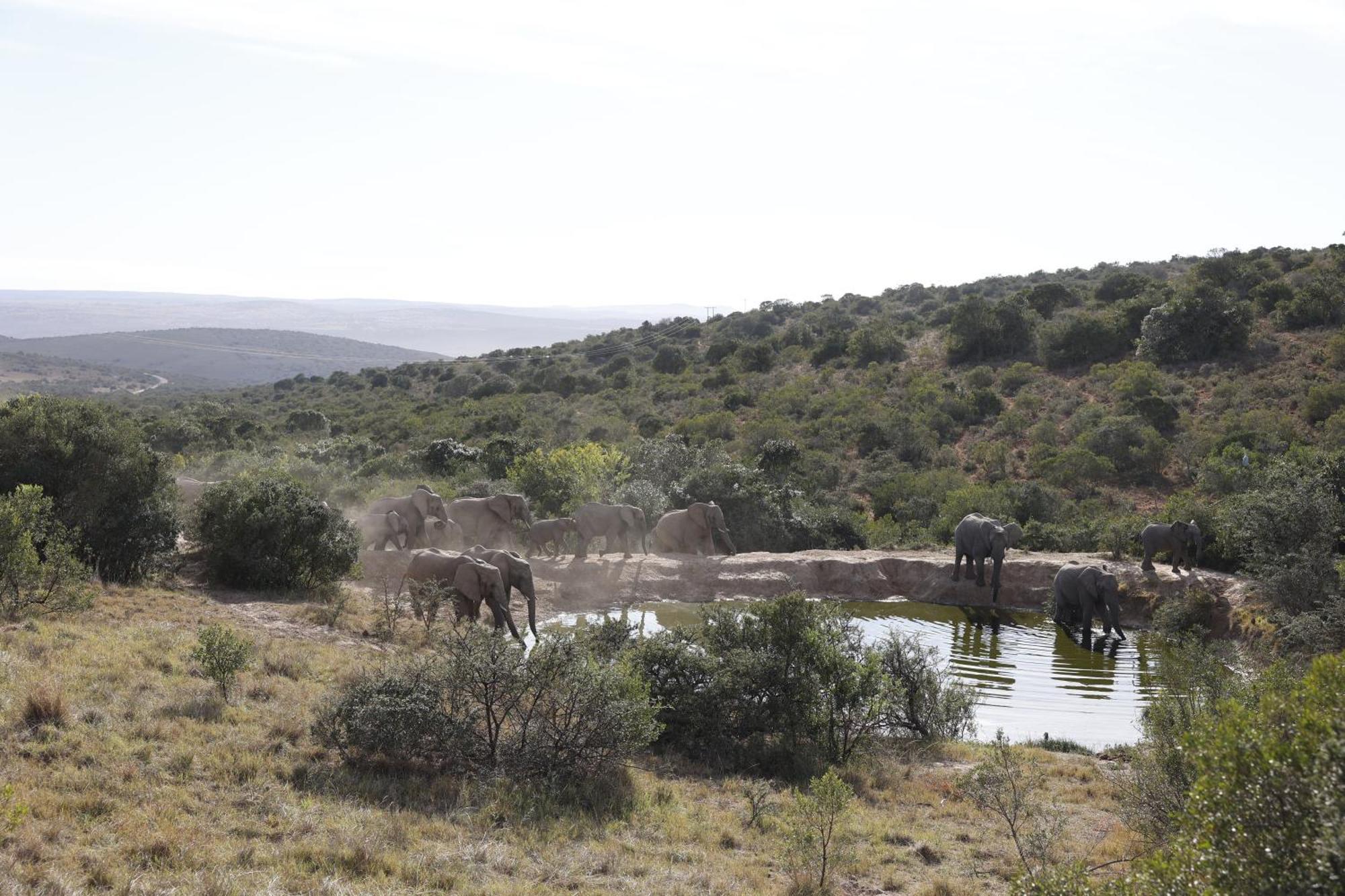 Bukela Game Lodge - アマカーラ・ゲーム・リザーブ エクステリア 写真