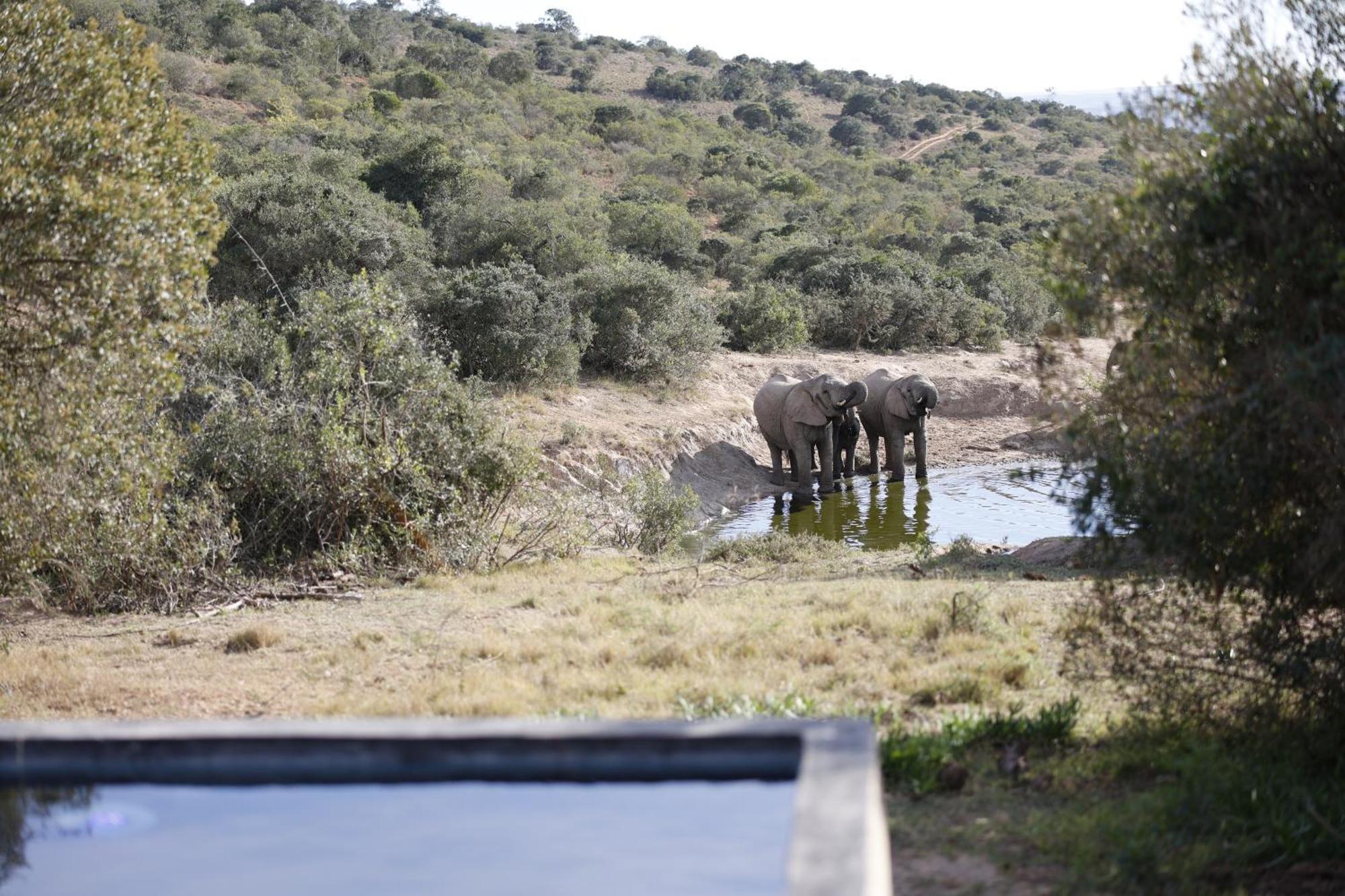 Bukela Game Lodge - アマカーラ・ゲーム・リザーブ エクステリア 写真