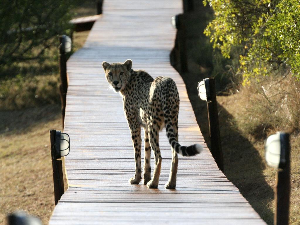 Bukela Game Lodge - アマカーラ・ゲーム・リザーブ エクステリア 写真